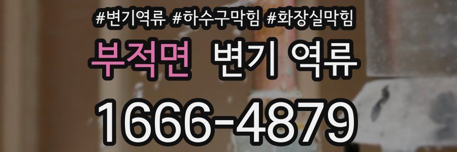 부적면 변기 역류