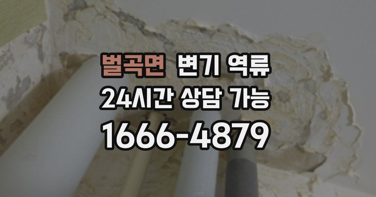 벌곡면 변기 역류