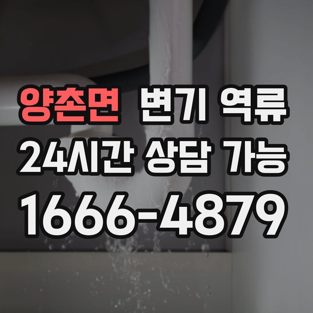 양촌면 변기 역류 아파트에서 공용 수직관 문제일 때 신호