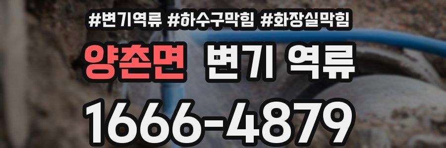 양촌면 변기 역류