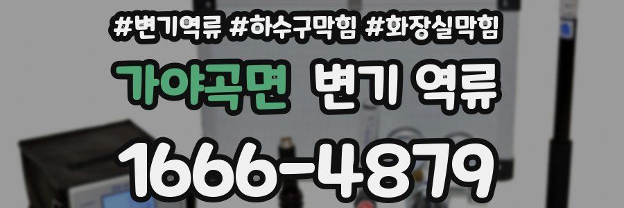 가야곡면 변기 역류