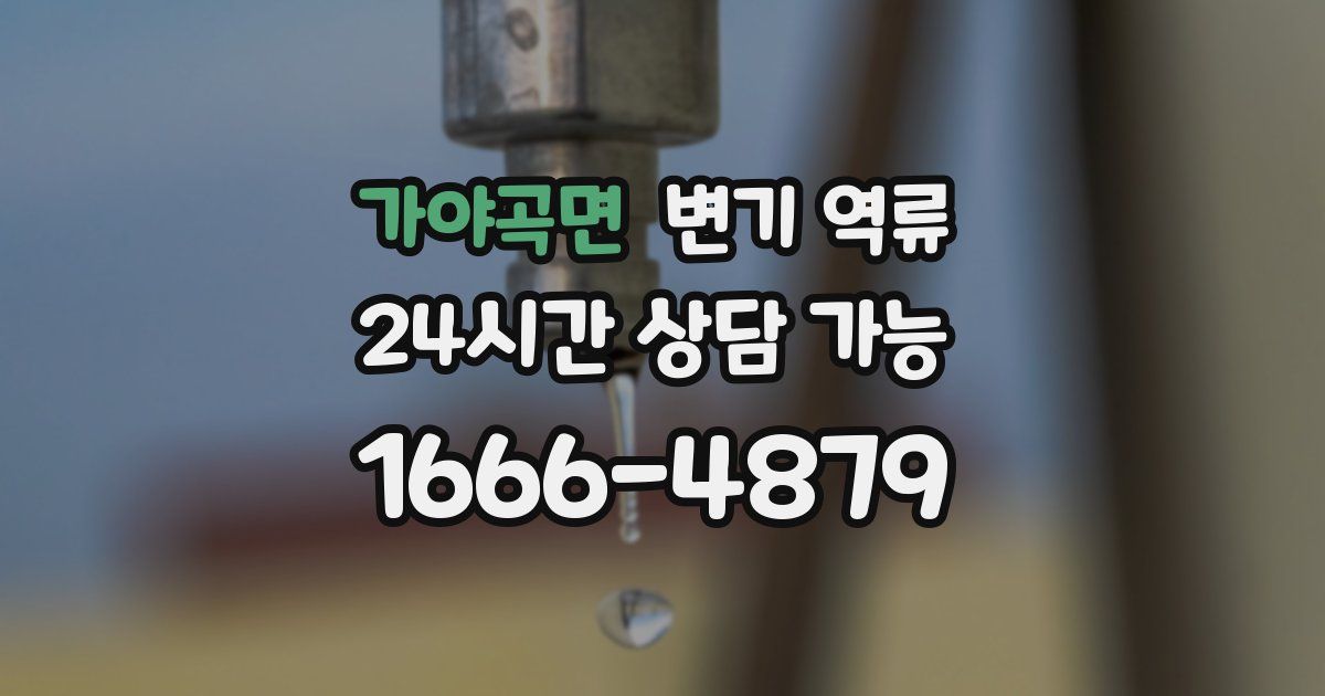 가야곡면 변기 역류