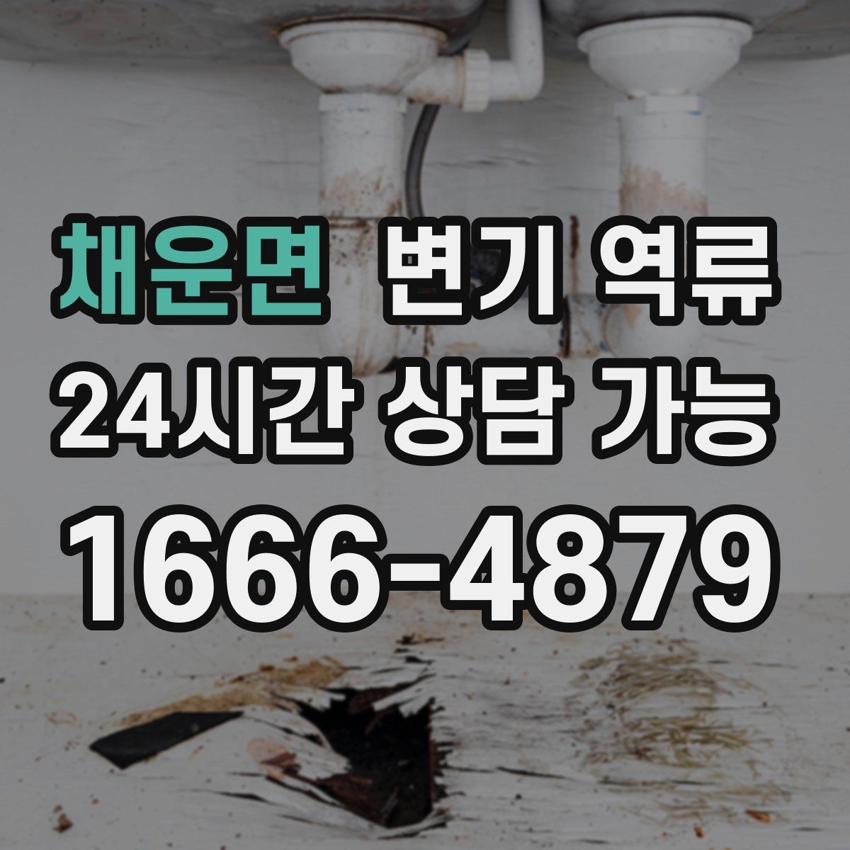 채운면 변기 역류 예방을 위한 욕실 관리 습관 체크