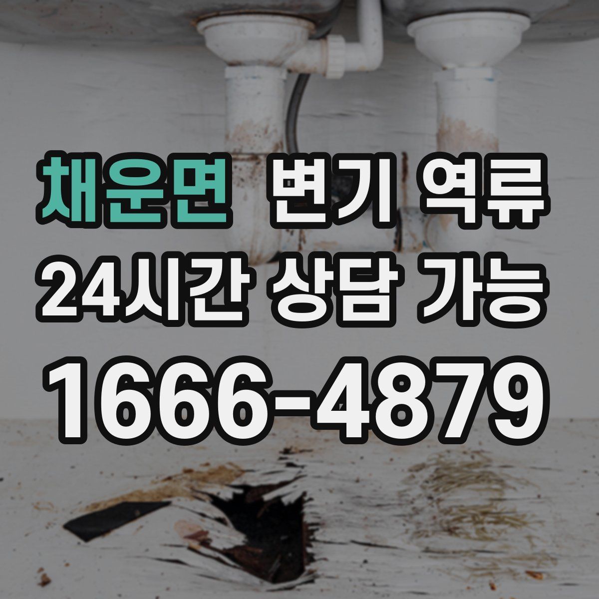 채운면 변기 역류