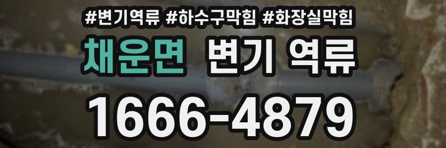 채운면 변기 역류