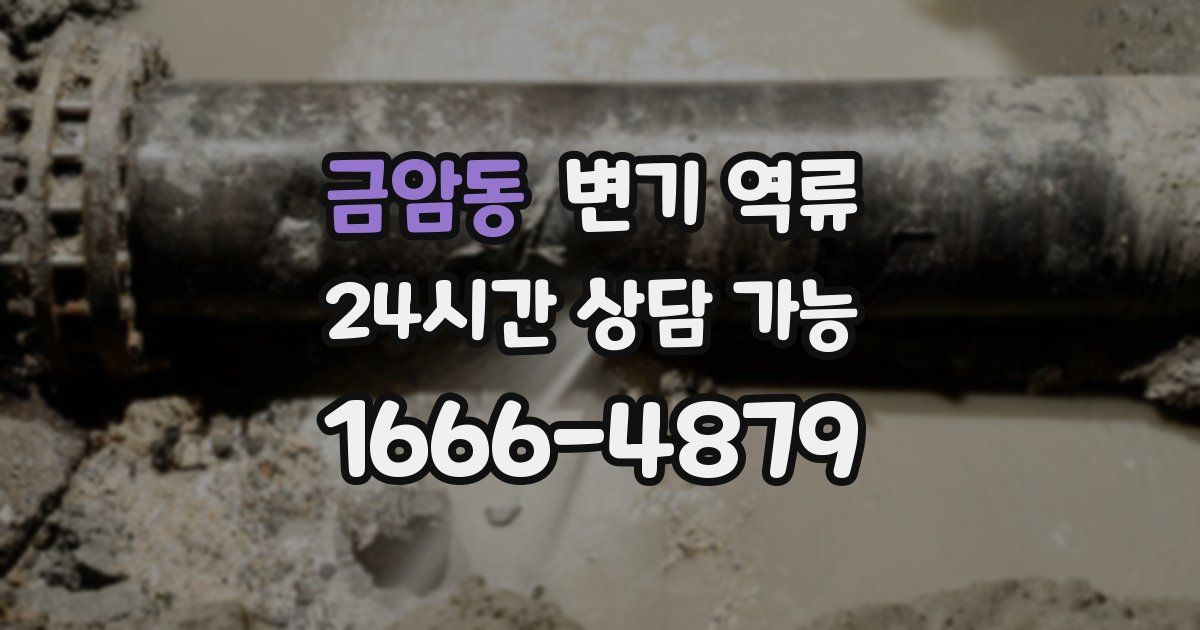 금암동 변기 역류