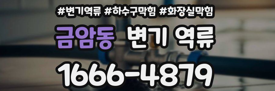 금암동 변기 역류