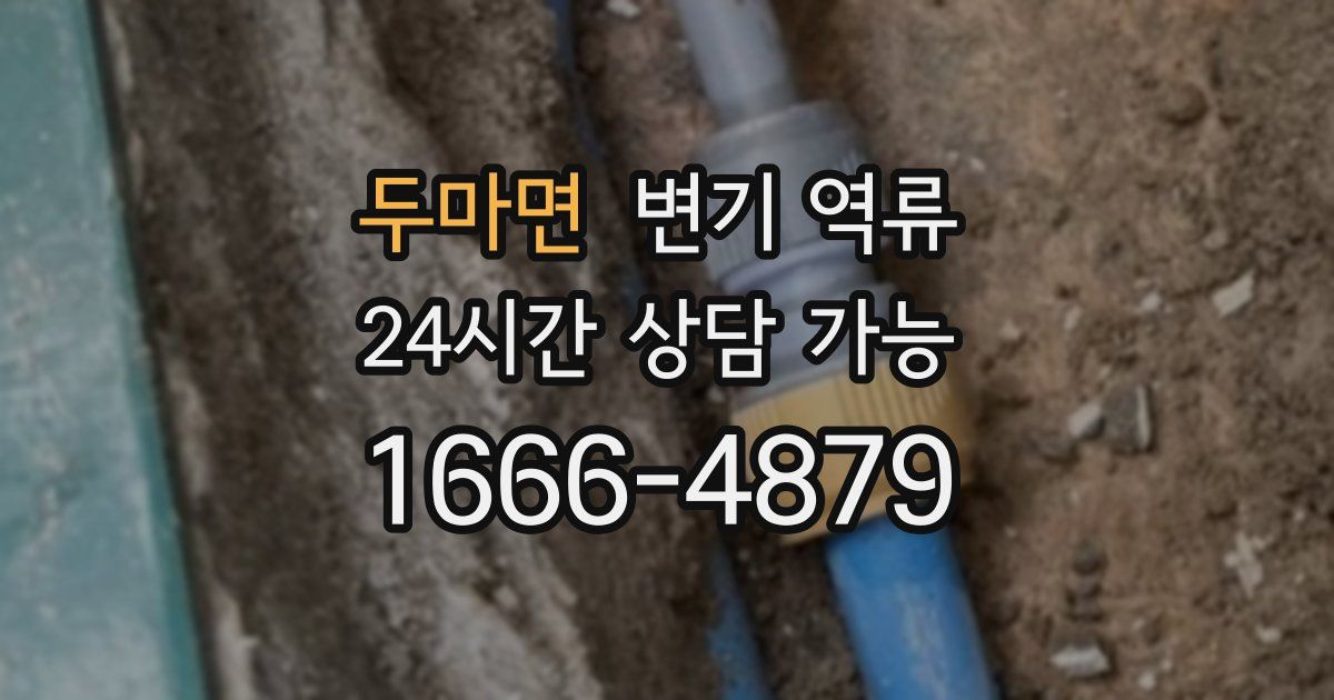 두마면 변기 역류