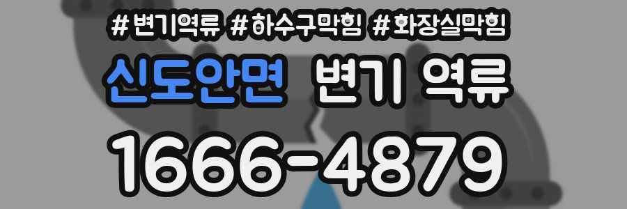 신도안면 변기 역류