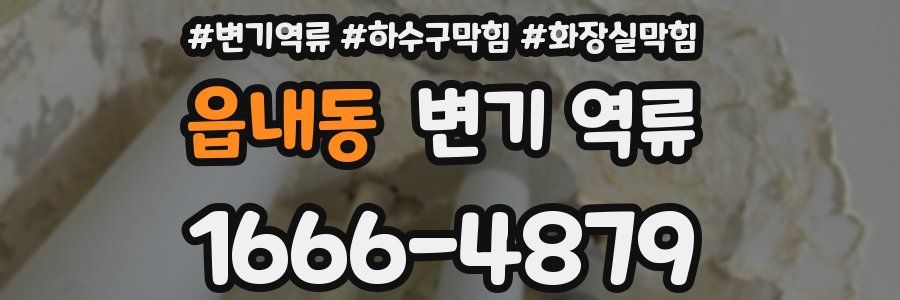 읍내동 변기 역류