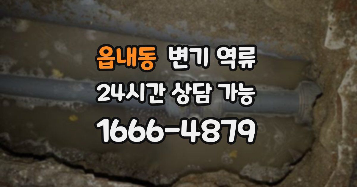 읍내동 변기 역류