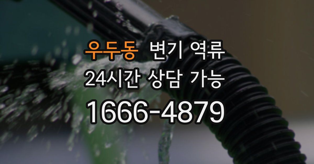 우두동 변기 역류