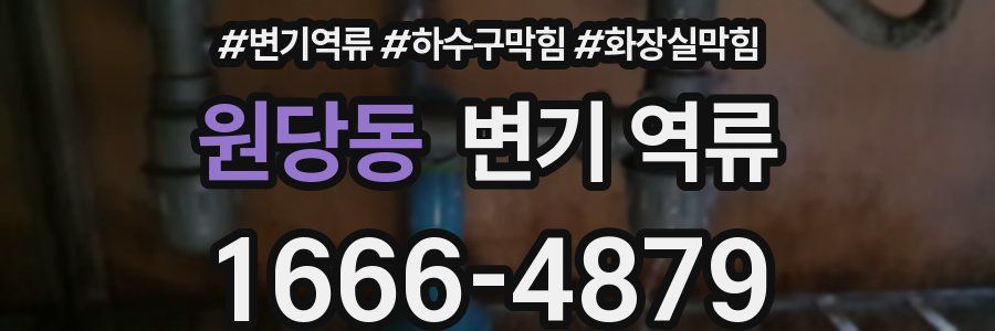 원당동 변기 역류