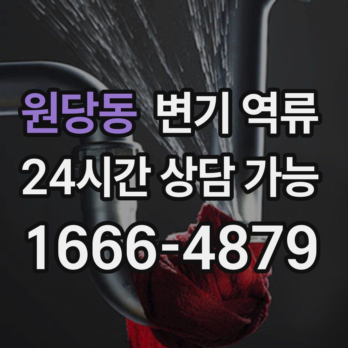 원당동 변기 역류