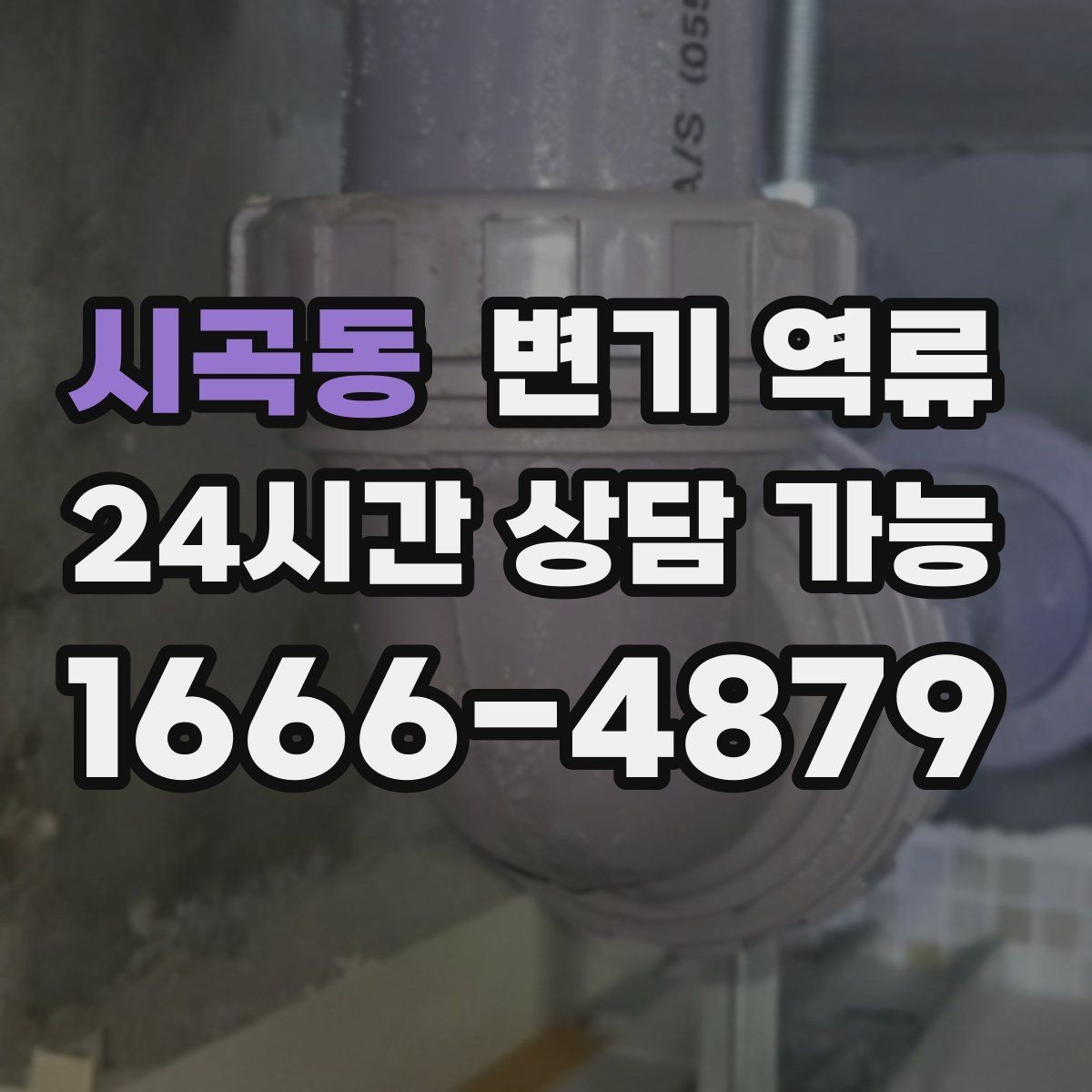 시곡동 변기 역류 특정 시간대에만 심해지는 이유