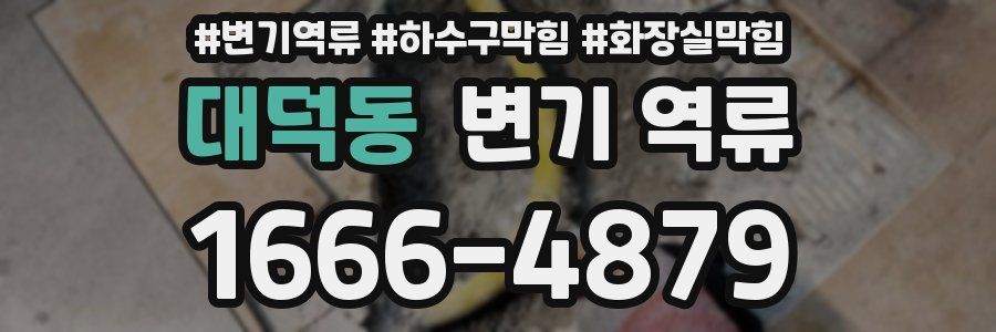 대덕동 변기 역류