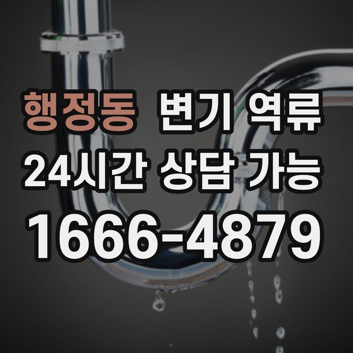 행정동 변기 역류 변기만 문제인지 다른 배수구도 느린지 확인