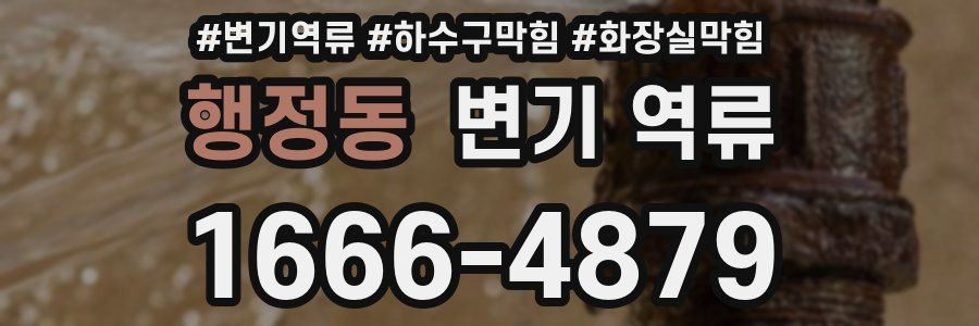 행정동 변기 역류