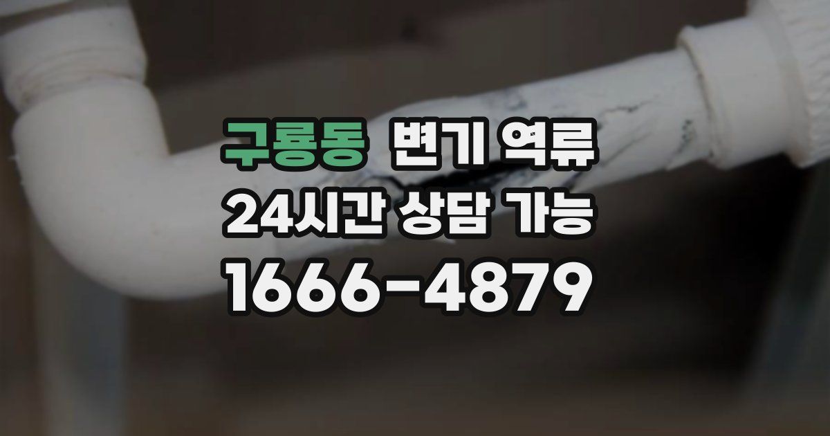 구룡동 변기 역류