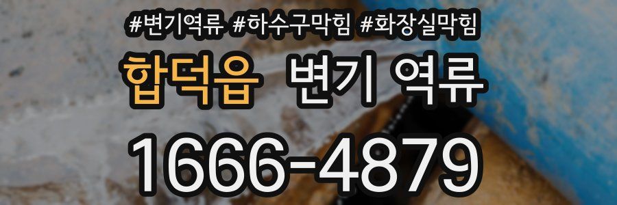 합덕읍 변기 역류