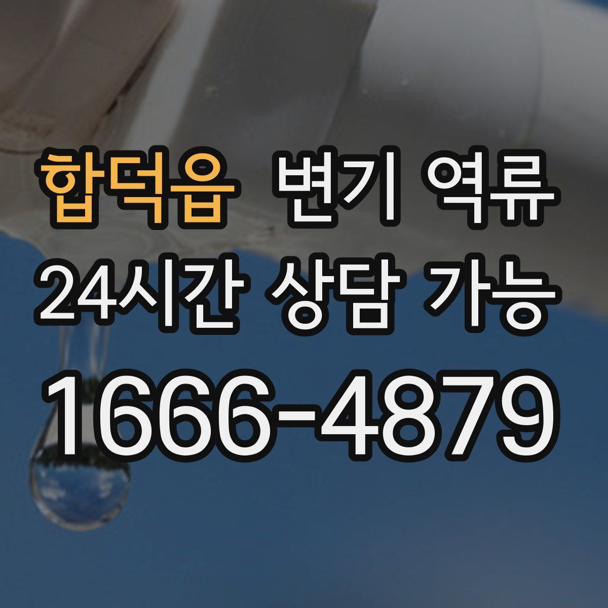 합덕읍 변기 역류