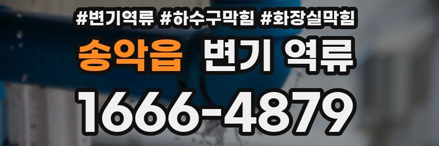 송악읍 변기 역류