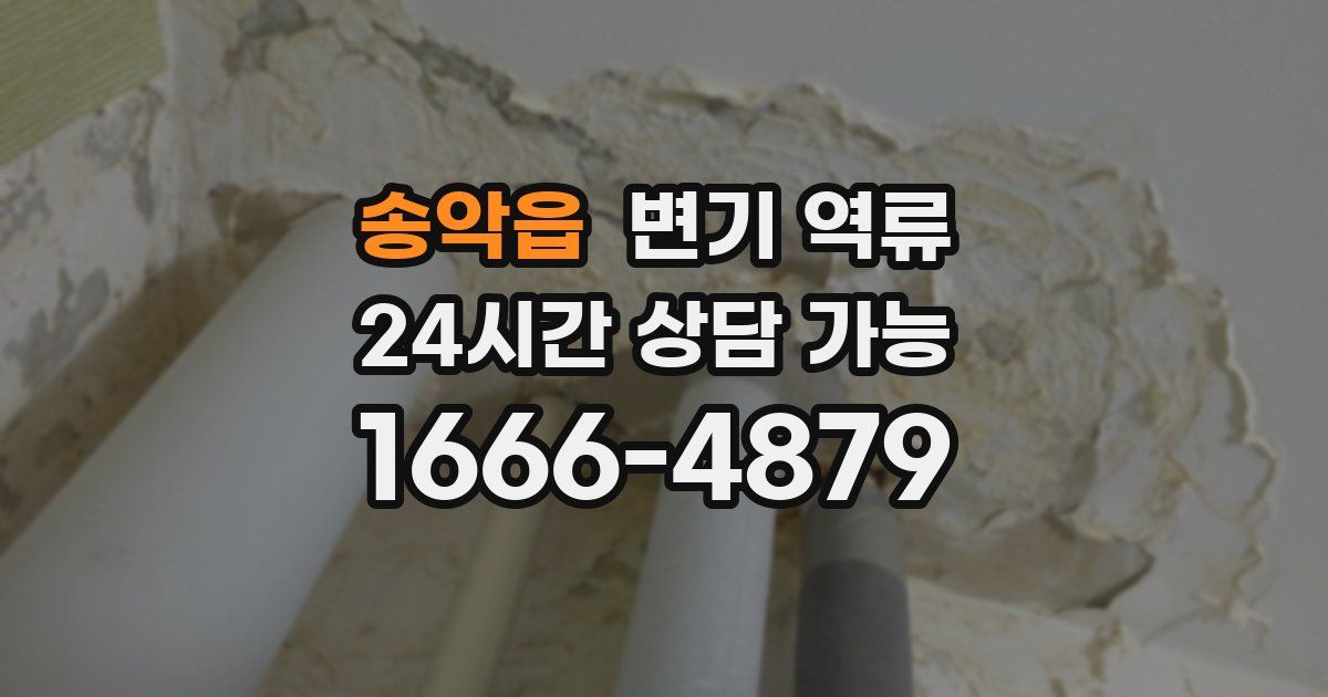 송악읍 변기 역류