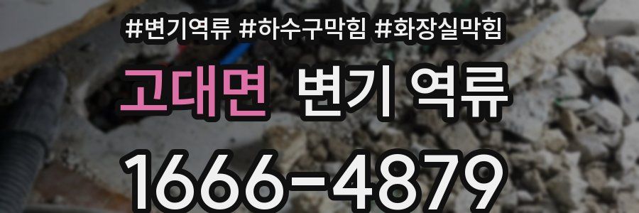 고대면 변기 역류