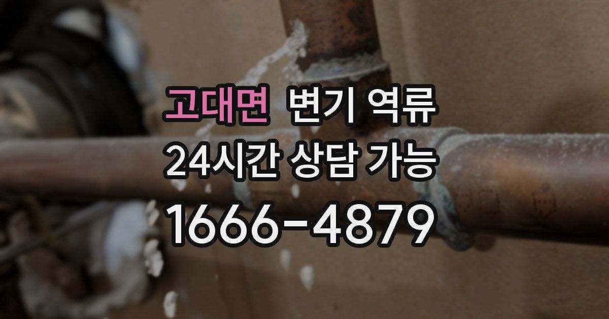 고대면 변기 역류