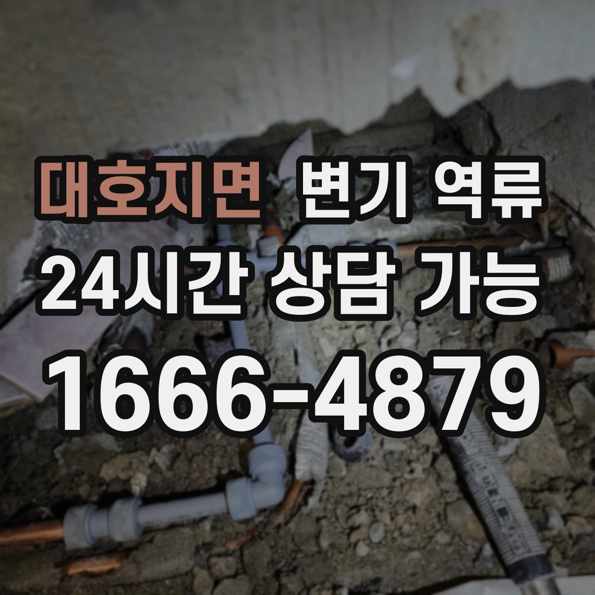 대호지면 변기 역류