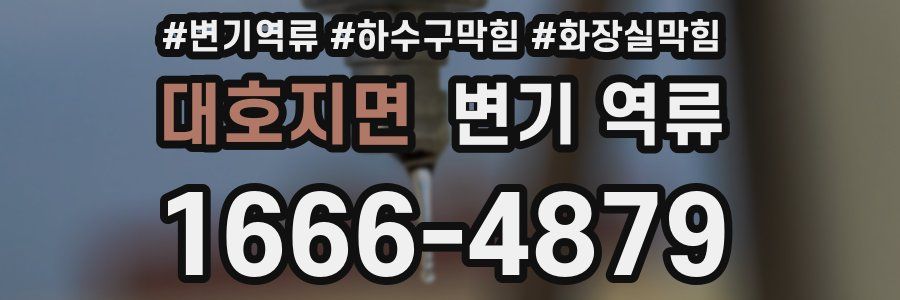 대호지면 변기 역류