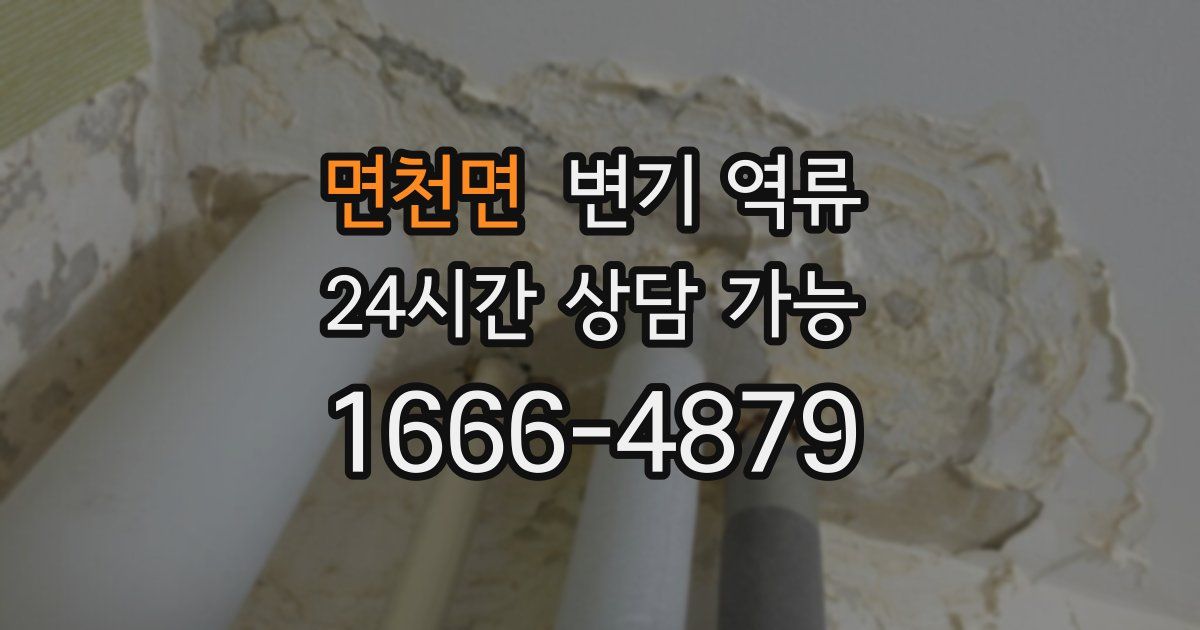 면천면 변기 역류