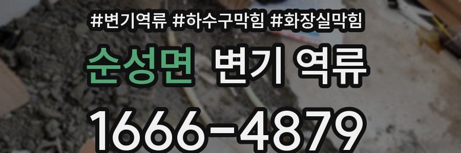 순성면 변기 역류