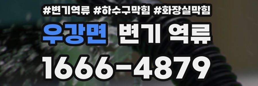 우강면 변기 역류