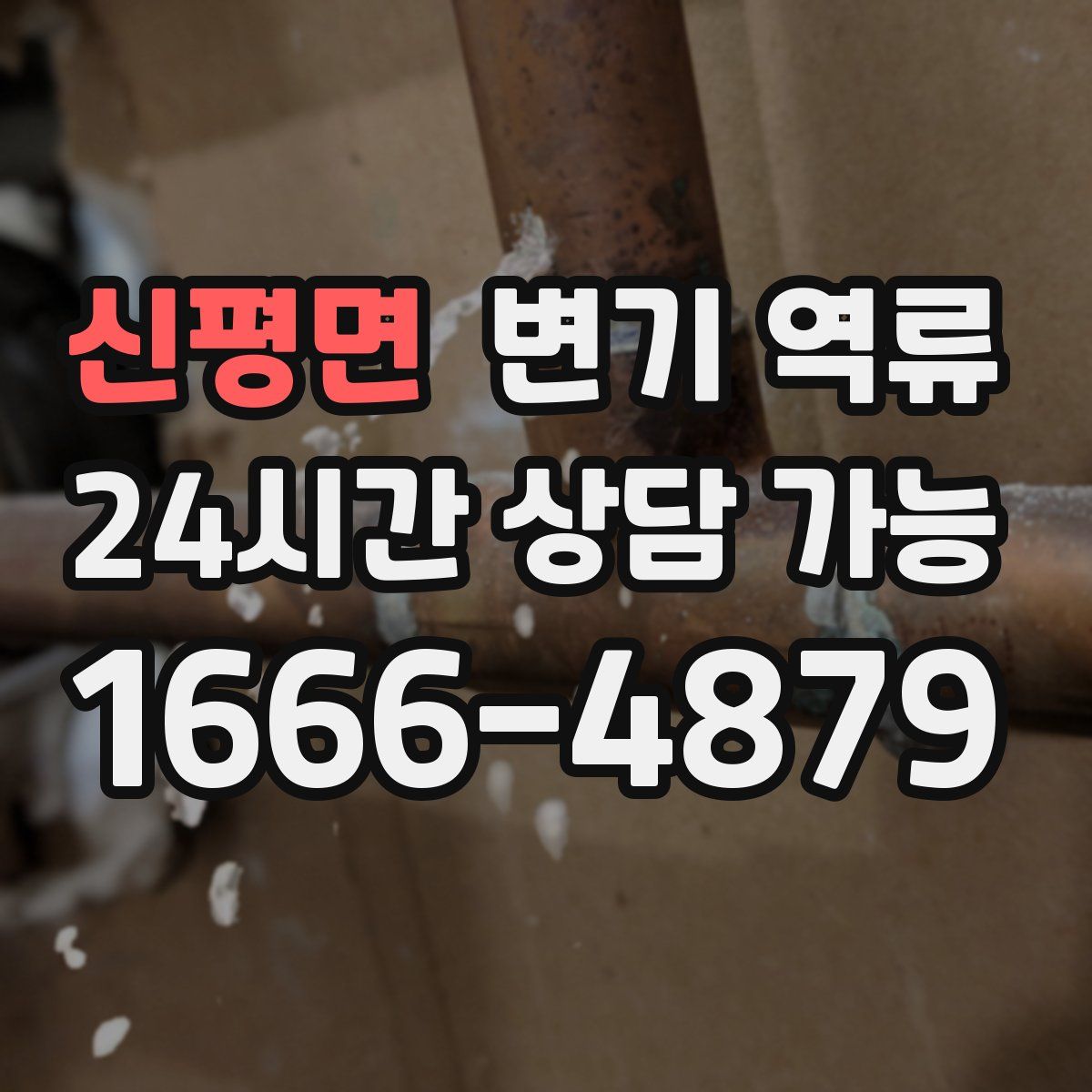 신평면 변기 역류