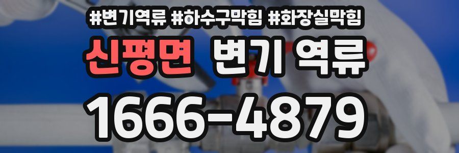 신평면 변기 역류