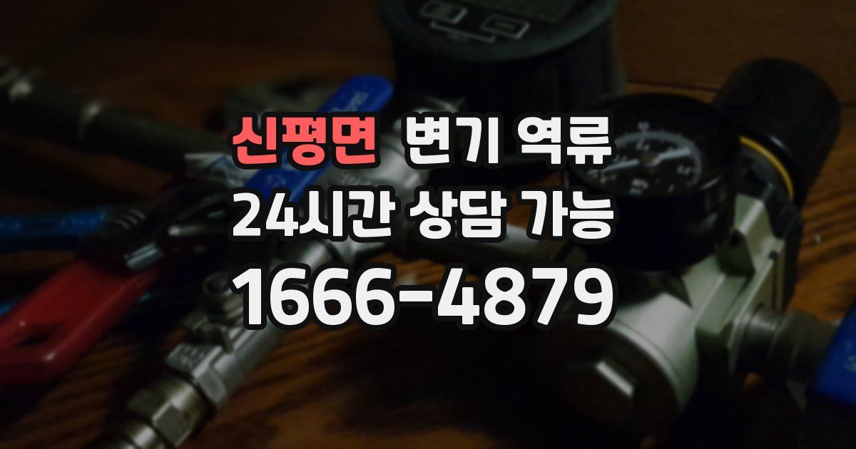 신평면 변기 역류