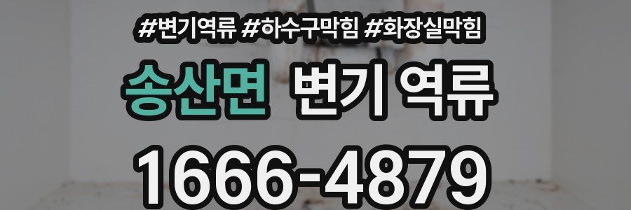 송산면 변기 역류