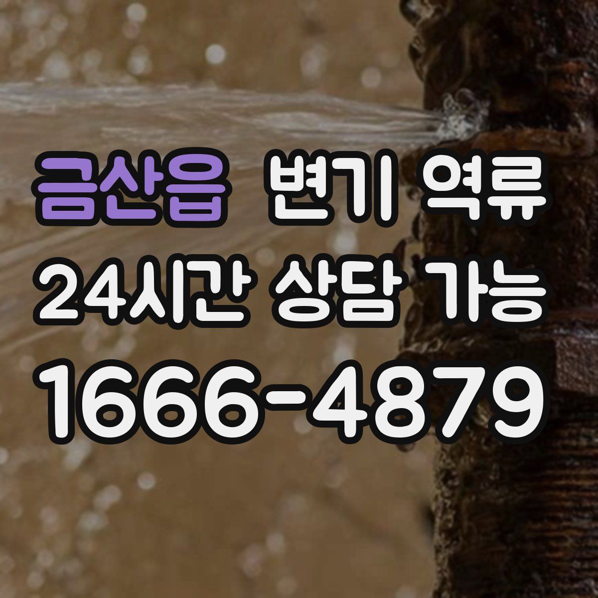 금산읍 변기 역류