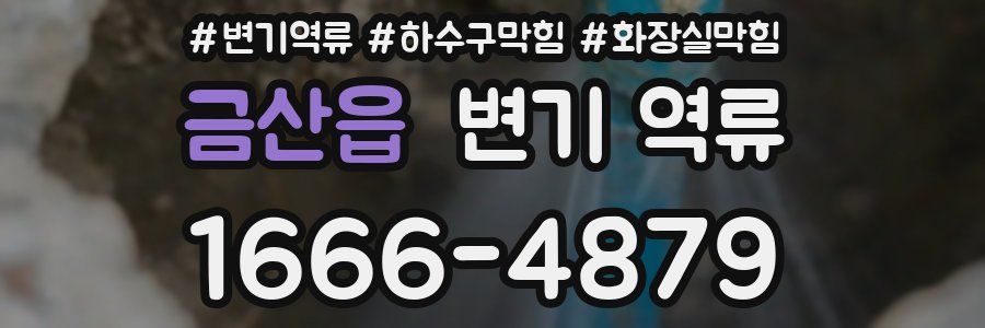 금산읍 변기 역류