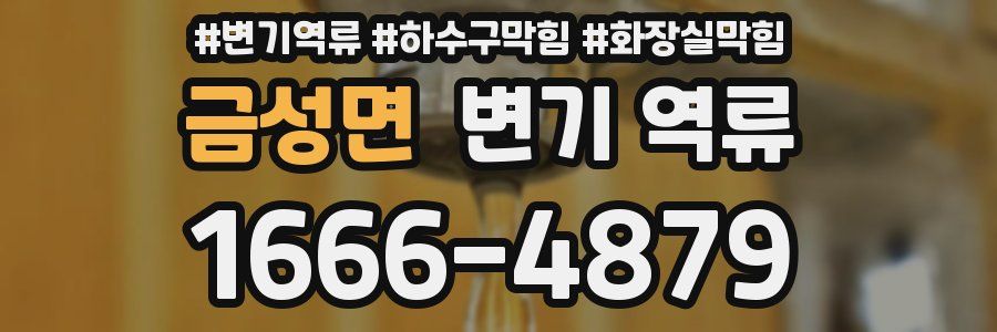 금성면 변기 역류