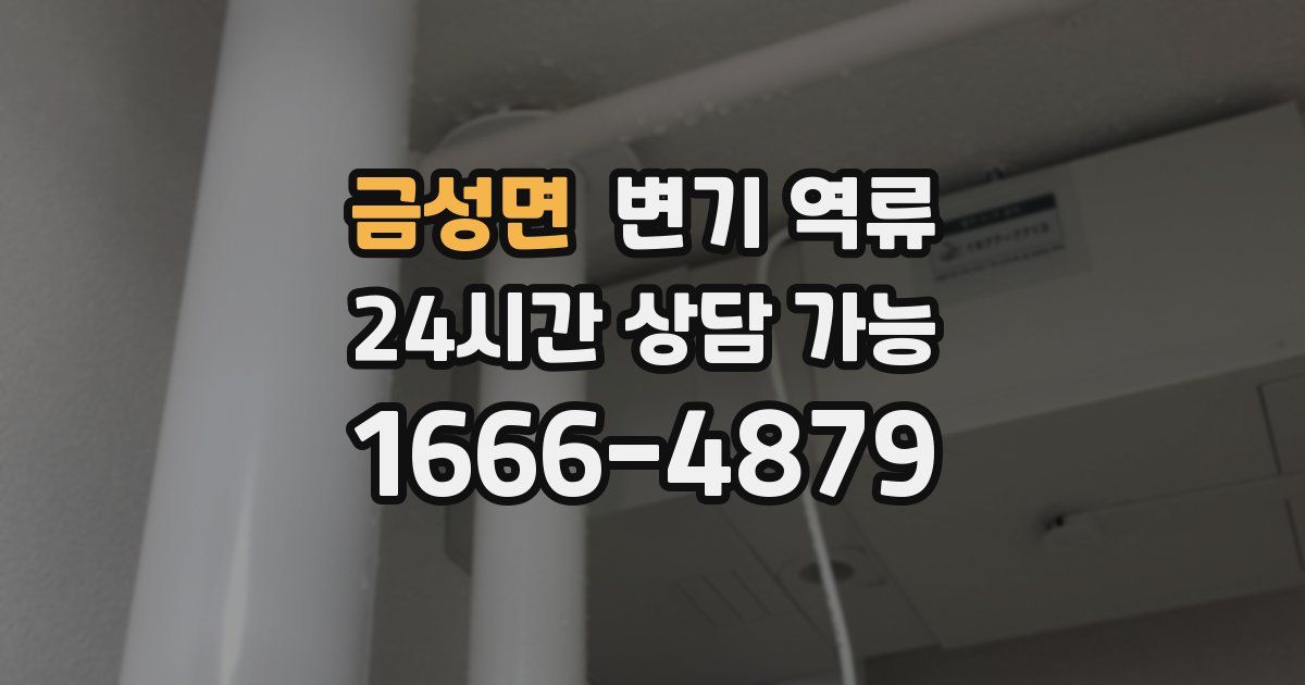 금성면 변기 역류