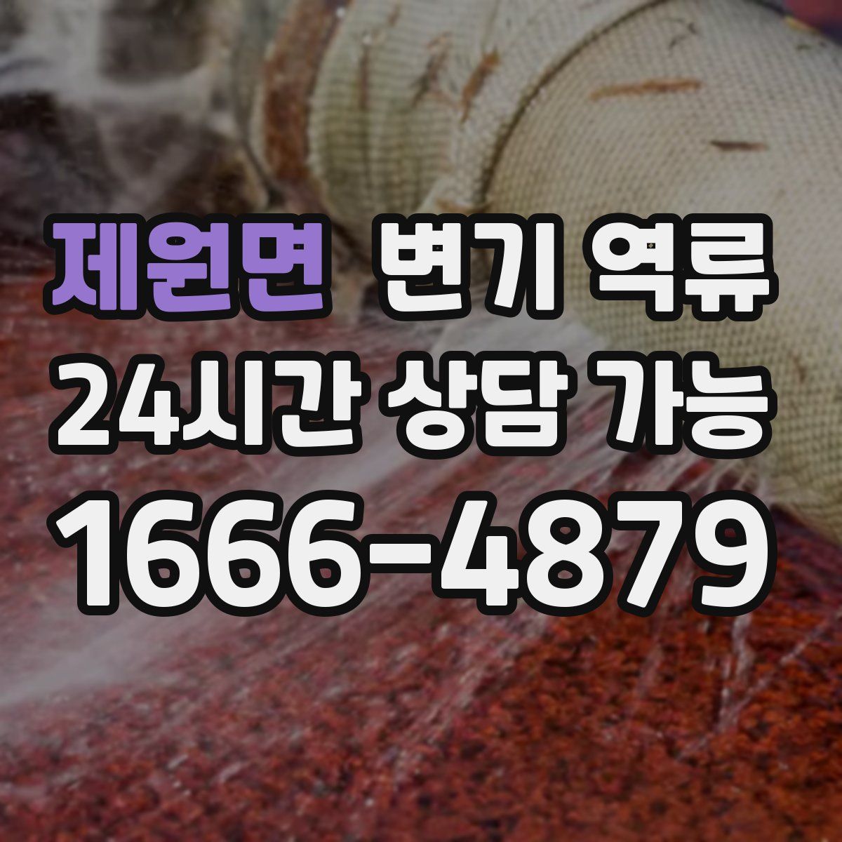 제원면 변기 역류