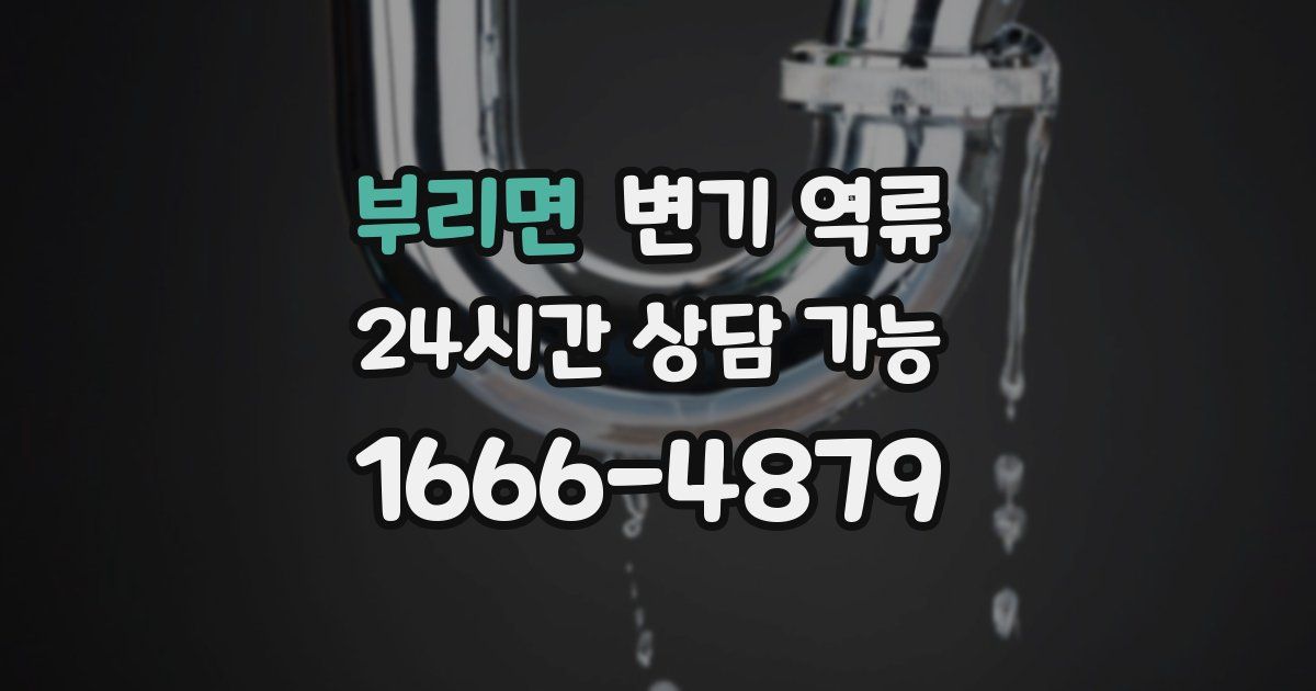 부리면 변기 역류