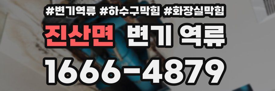 진산면 변기 역류