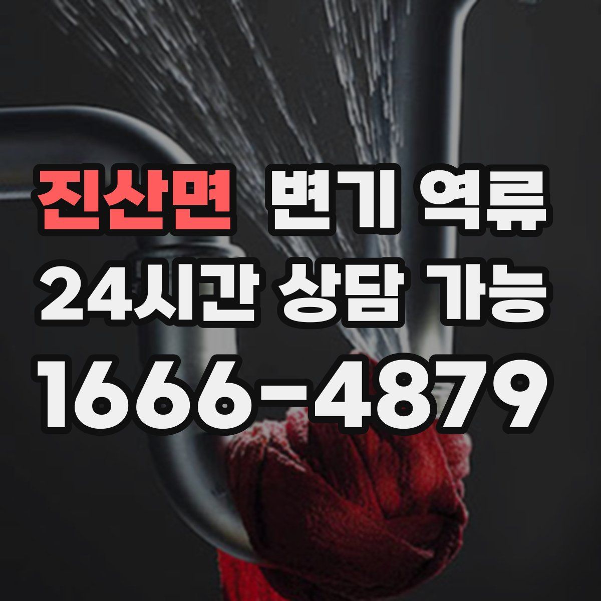 진산면 변기 역류