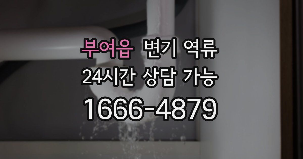 부여읍 변기 역류