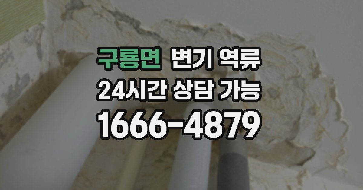 구룡면 변기 역류