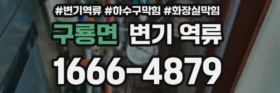 구룡면 변기 역류