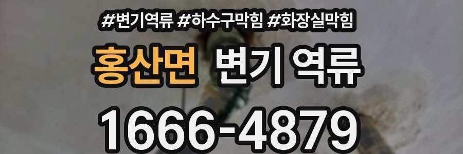 홍산면 변기 역류